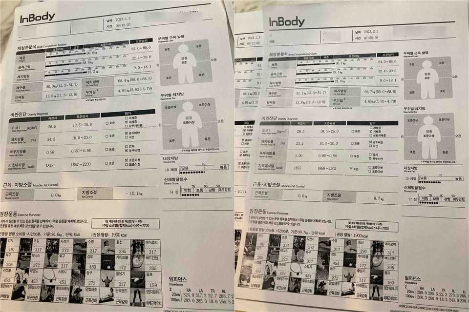 2023년 운동 결과